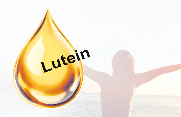 FitLine Lutein
