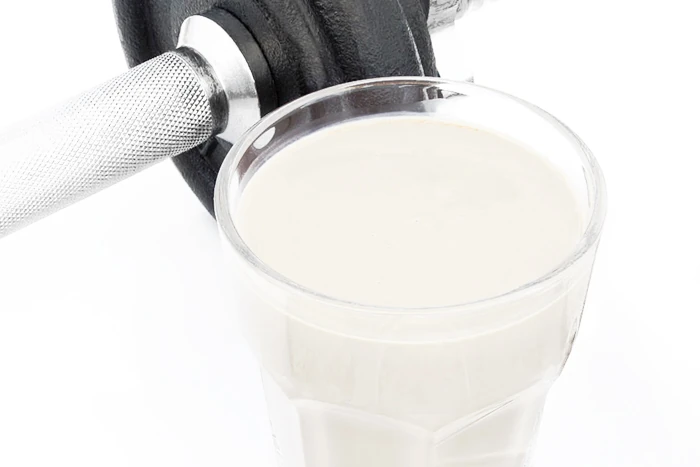 FitLine Whey Eiweißpulver-Getränk