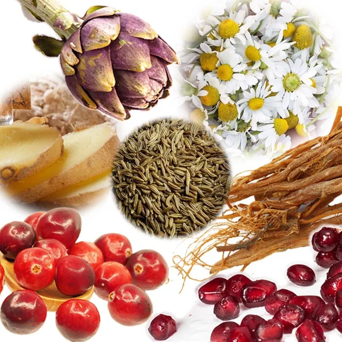 Die Pflanzenwirkstoffe im Women Plus von PM