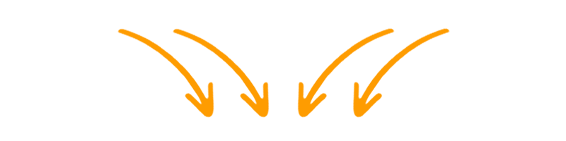 Pfeil - Fitline gratis test ausfüllen